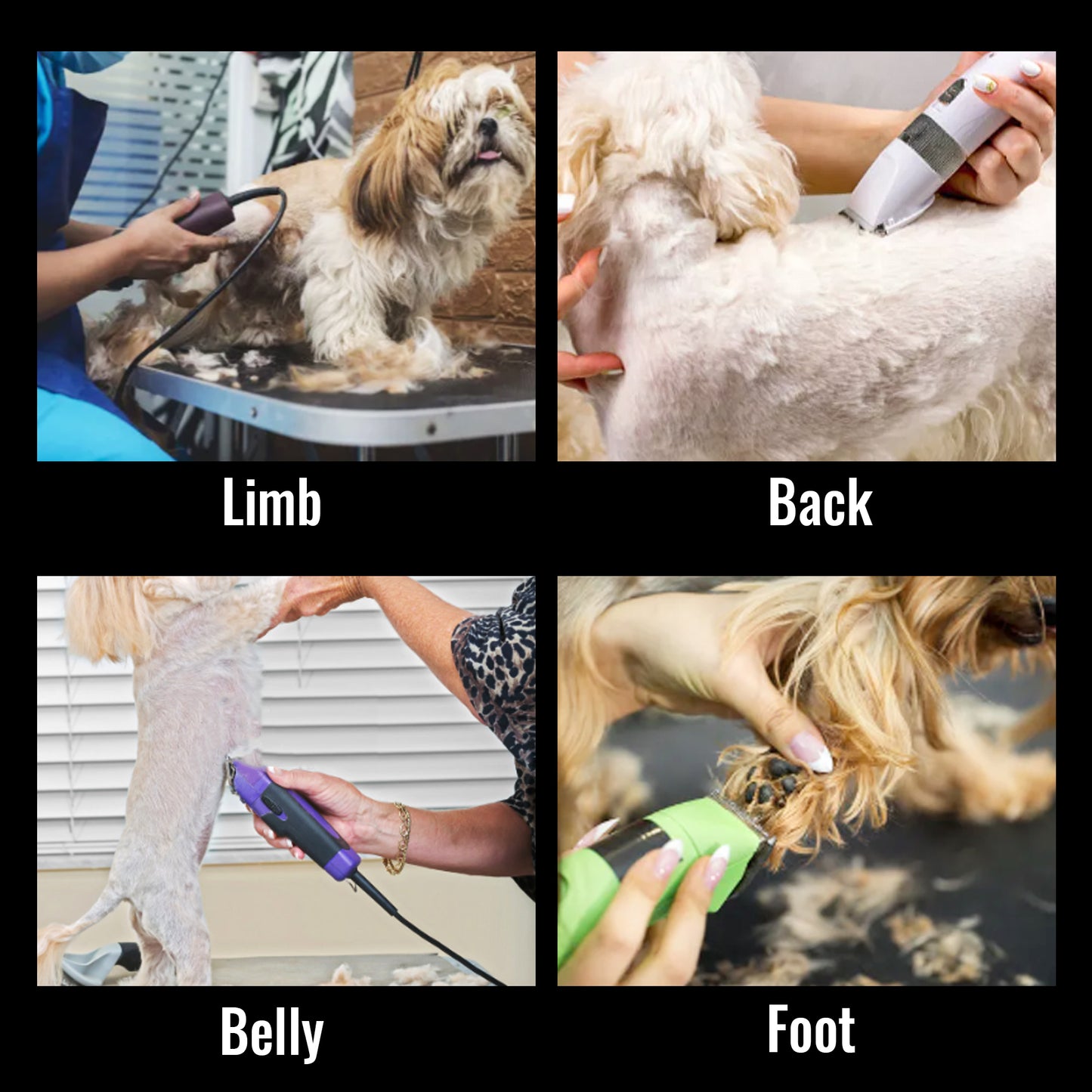 P60 Dog Grooming Clipper, Replacement Blades & Charger, 3-Speed Low Noise Cordless Pet Trimmer